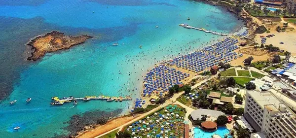 Fig tree bay